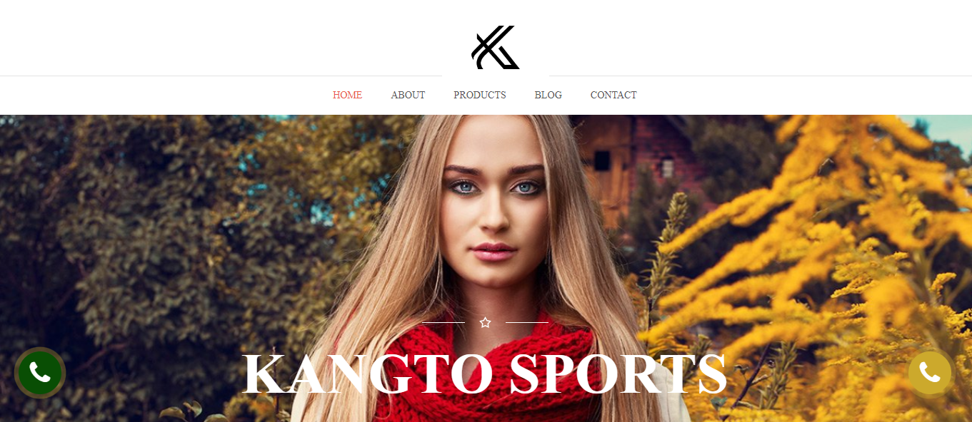 Website Designing Company 

Meerut